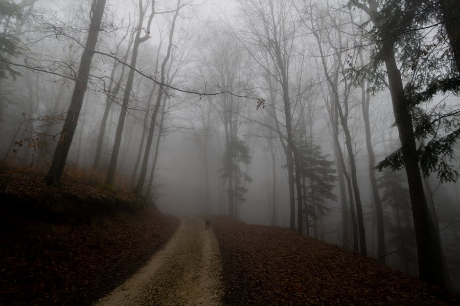 Zasnežené svahy a panoráma Vysokých Tatier v zimnom slnku